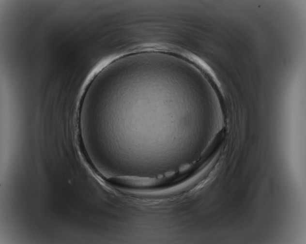 X0000084541373200703021434