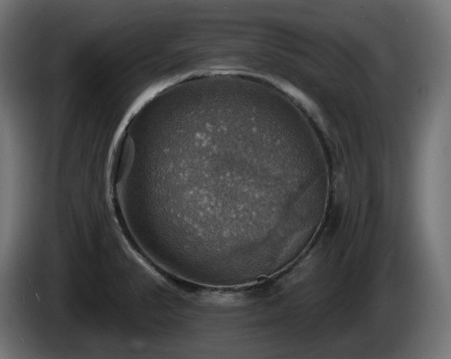 X0000084541374200703021434