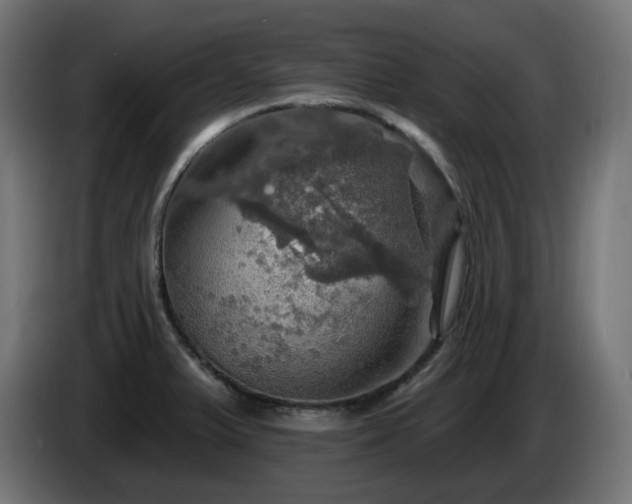 X0000084541375200703021434