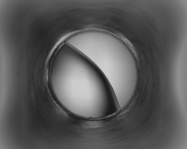 X0000084541376200703021434