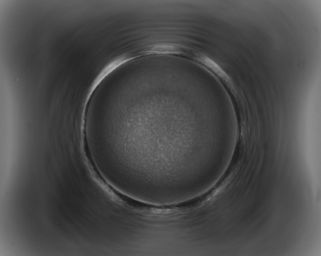 X0000084541378200703021434