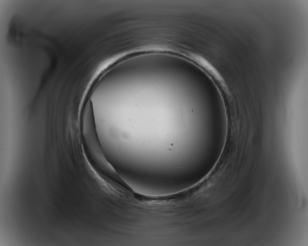 X0000084541380200703021434