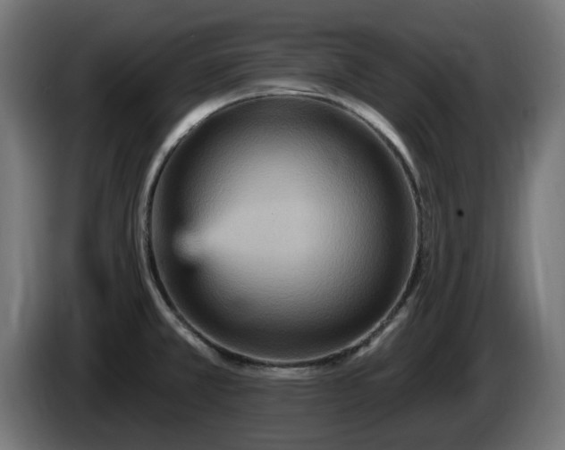 X0000084541381200703021434