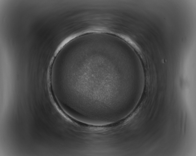 X0000084541382200703021434