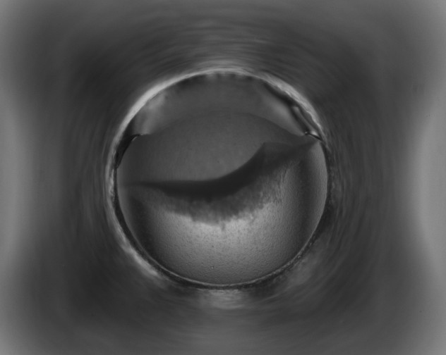 X0000084541383200703021434