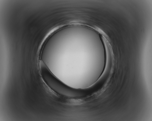 X0000084541384200703021434