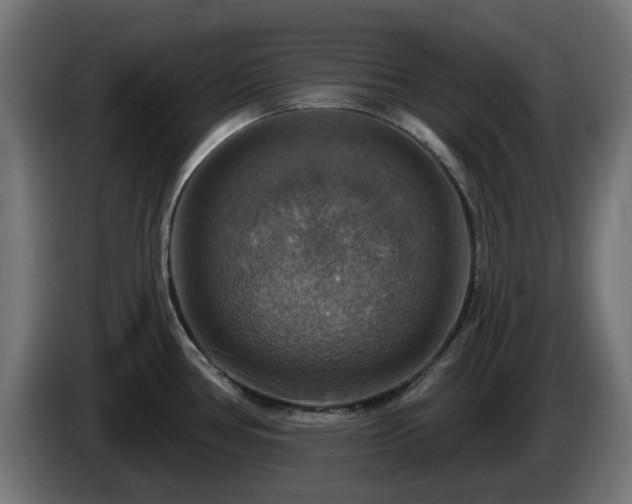 X0000084541386200703021434