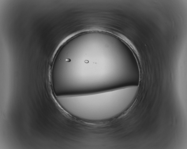 X0000084541388200703021434