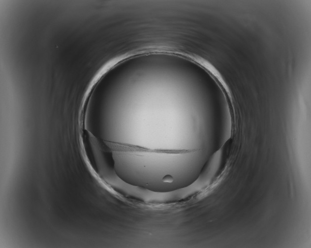 X0000084541389200703021434