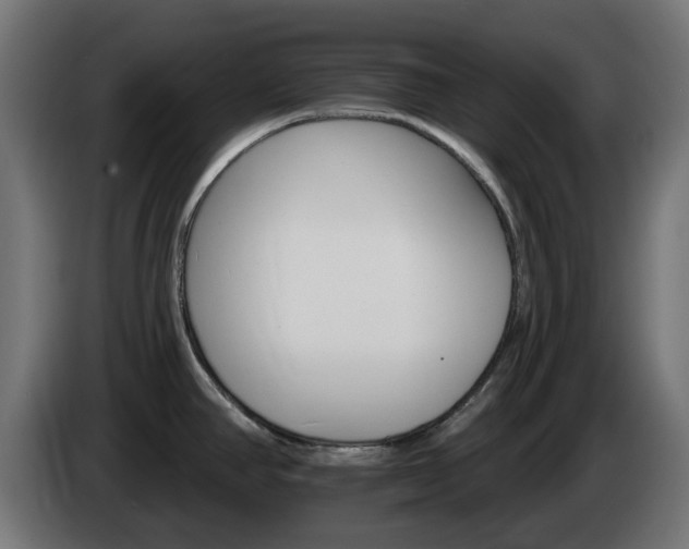 X0000084541390200703021434