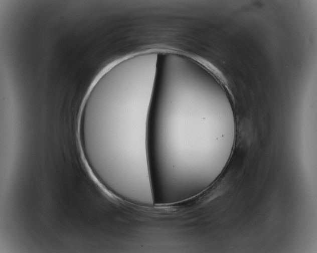 X0000084541391200703021434