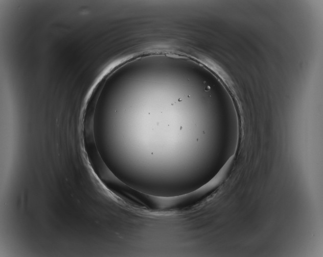 X0000084541392200703021434