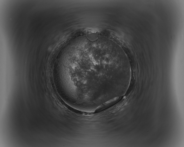 X0000084541393200703021433