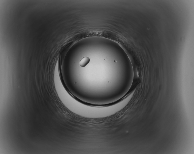 X0000084541394200703021433