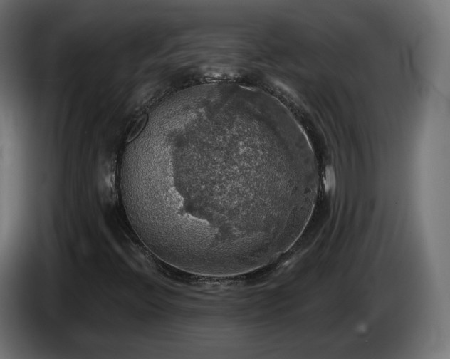 X0000084541396200703021433