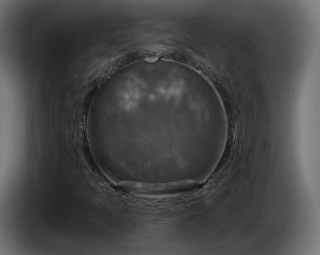 X0000084541397200703021433