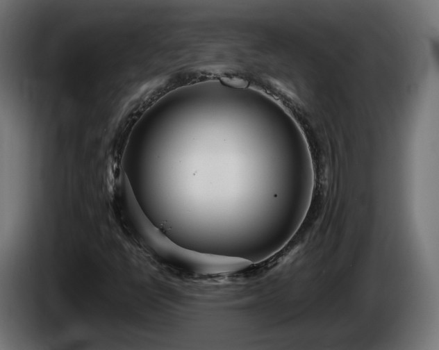 X0000084541398200703021433