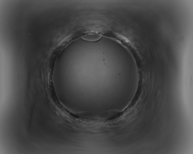 X0000084541399200703021433