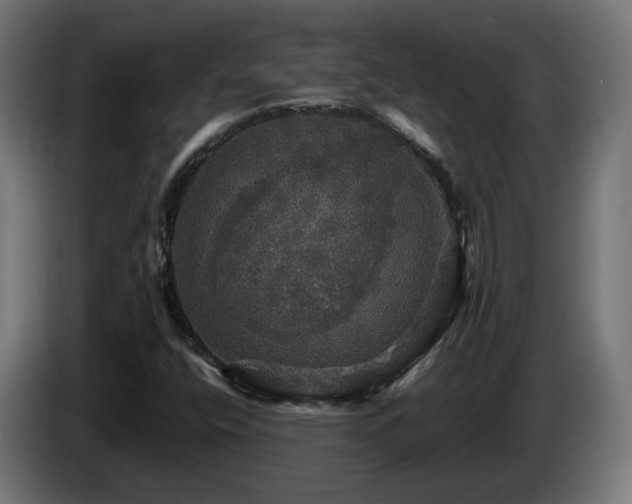X0000084541400200703021433