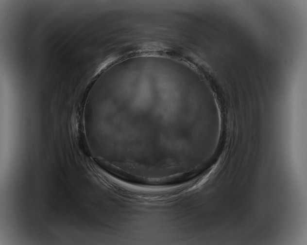 X0000084541401200703021433