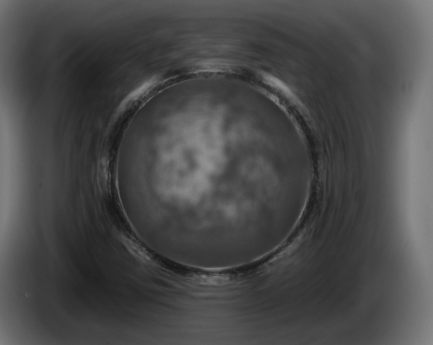 X0000084541403200703021433