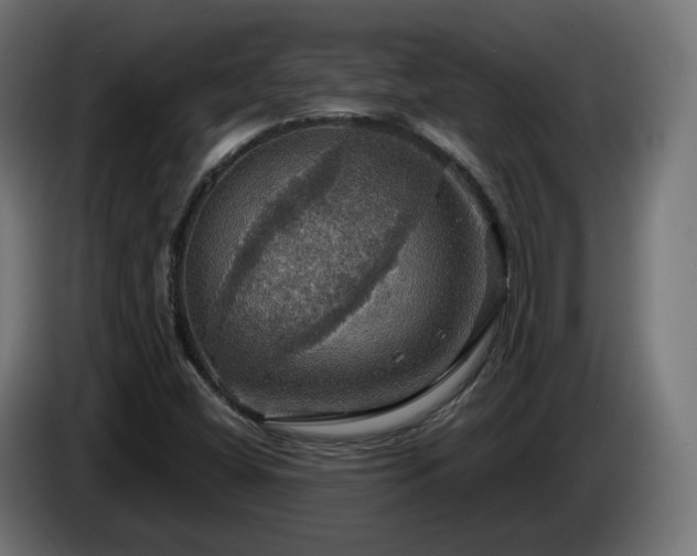 X0000084541404200703021433