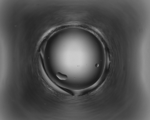 X0000084541406200703021433