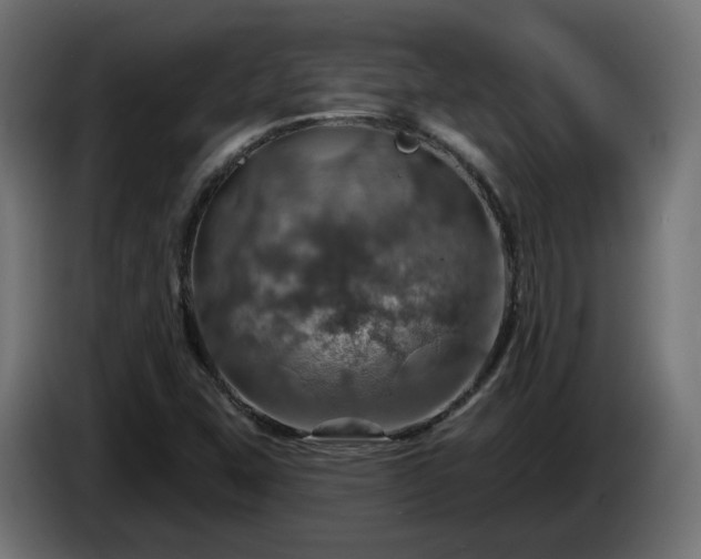 X0000084541407200703021433