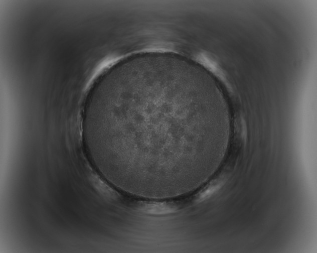 X0000084541408200703021433