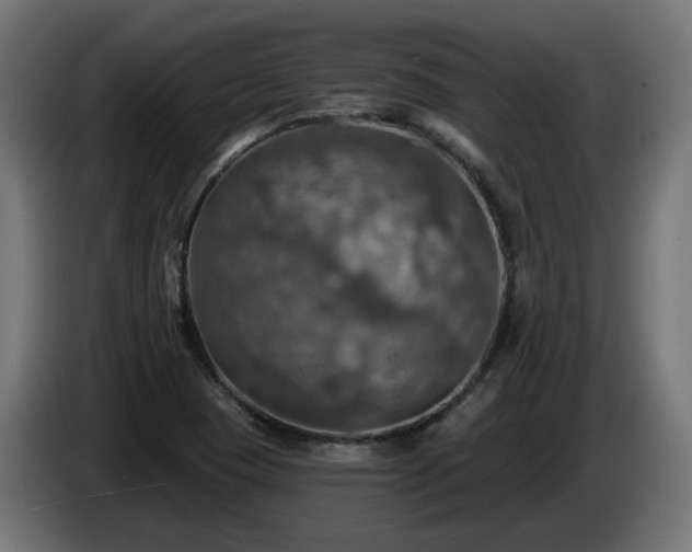 X0000084541409200703021433