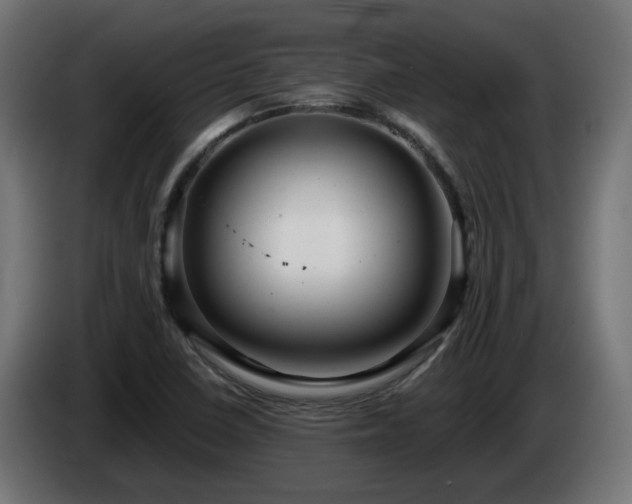 X0000084541410200703021433