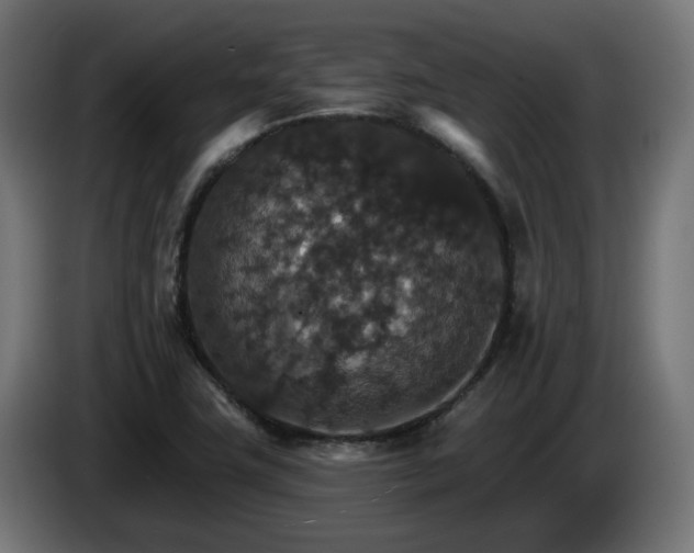 X0000084541411200703021433