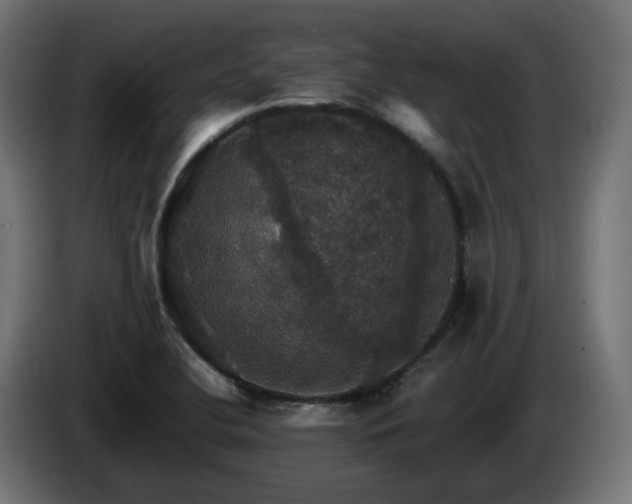 X0000084541412200703021433