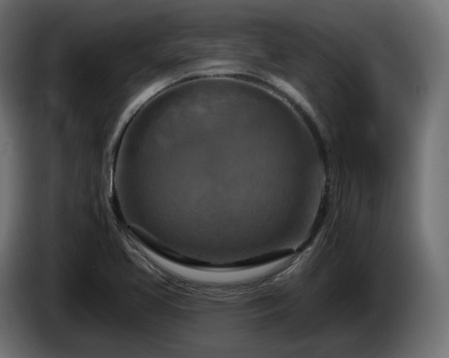X0000084541413200703021433