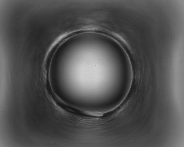 X0000084541414200703021433