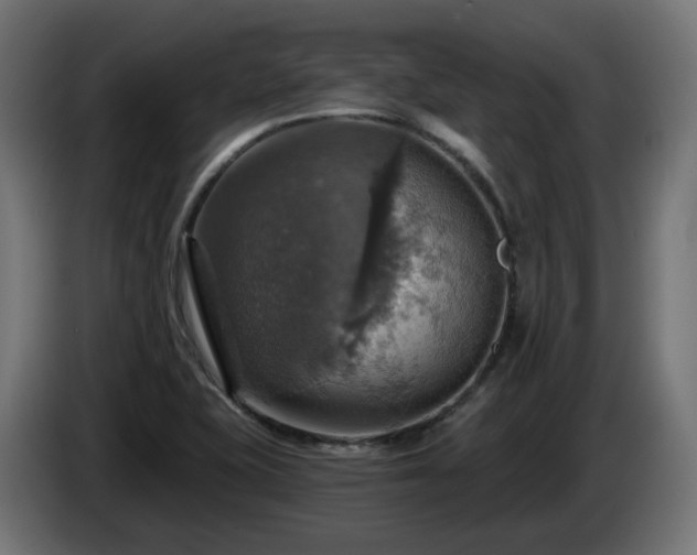 X0000084541415200703021433