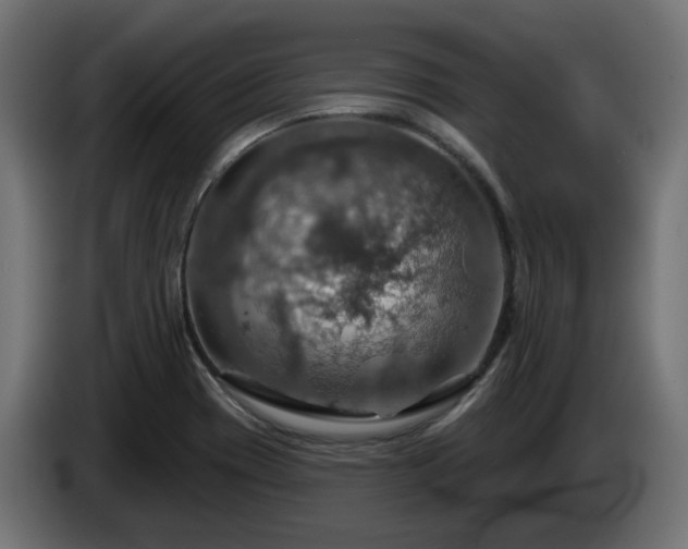 X0000084541417200703021433