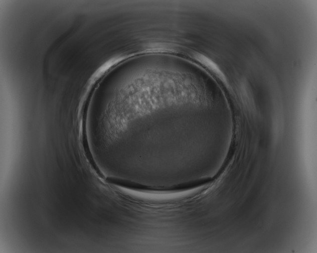 X0000084541419200703021433