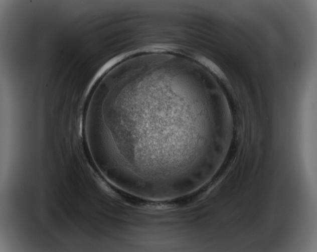 X0000084541420200703021433