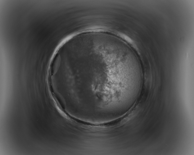 X0000084541421200703021433