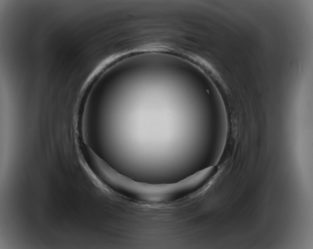 X0000084541422200703021433
