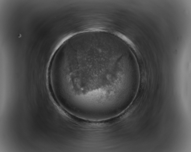 X0000084541423200703021433