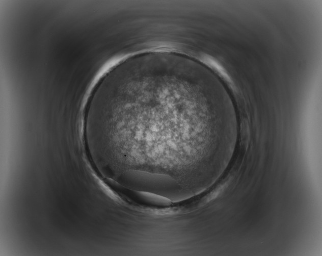 X0000084541424200703021433