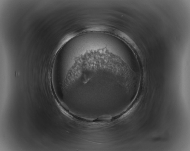 X0000084541425200703021433
