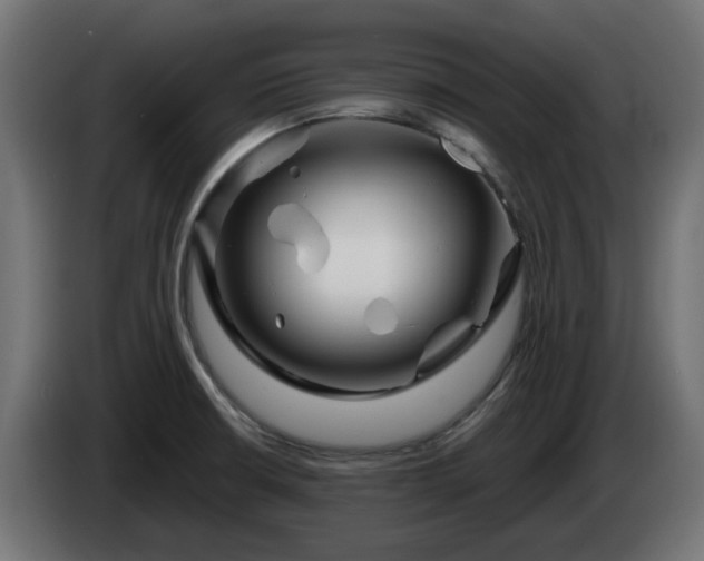 X0000084541426200703021433