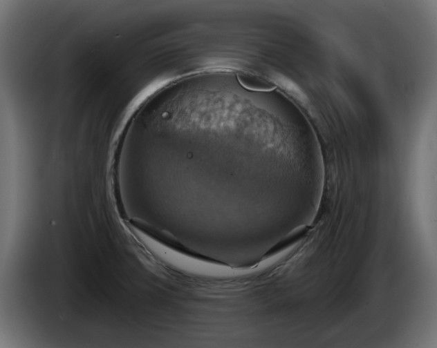X0000084541427200703021433