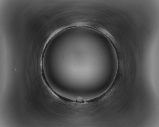 X0000084541428200703021433