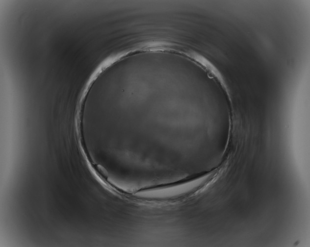 X0000084541429200703021433