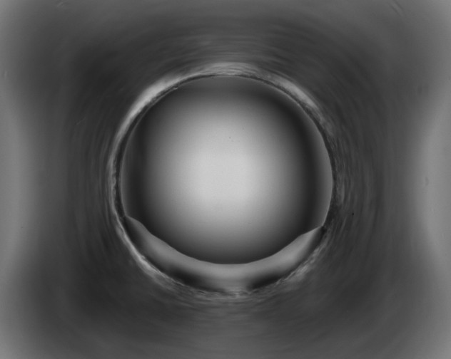 X0000084541430200703021433