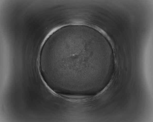 X0000084541432200703021433